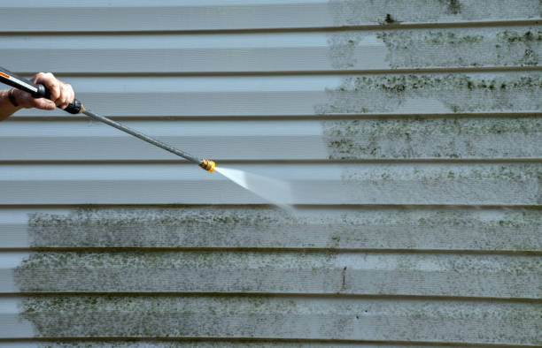 Best Roof Power Washing Services  in Rome, IL