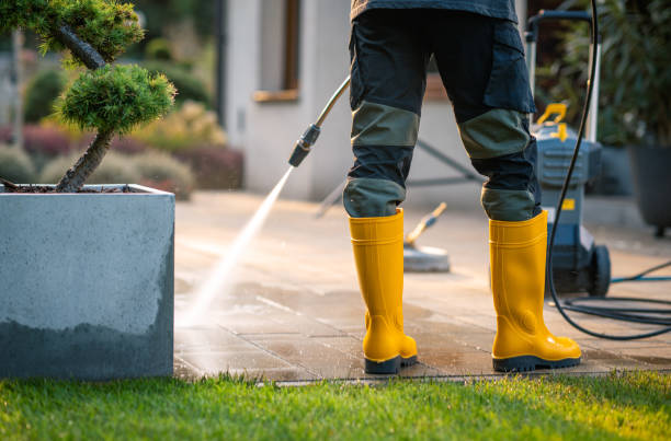 Best Local Pressure Washing Services  in Rome, IL